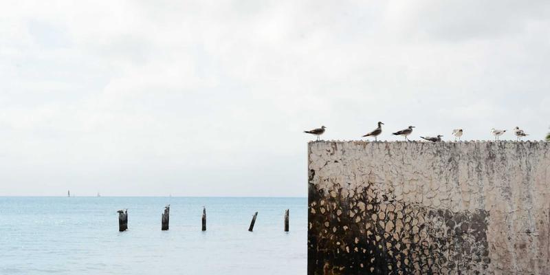 5G核心网云原生部署与网络切片技术详解：从编程视角看未来网络架构