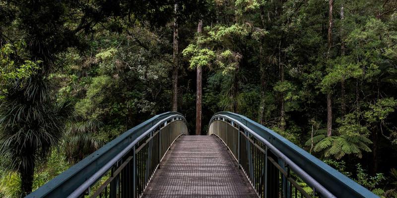 FC3355协议解析与实战：从编程教程到软件开发的进阶之路