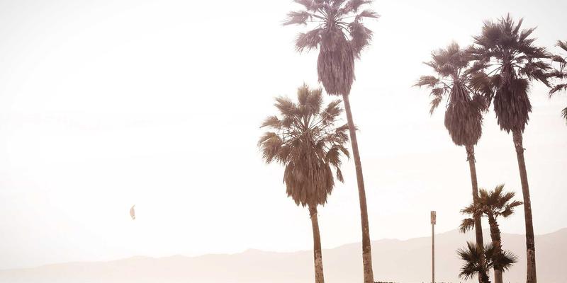 FC3355编程教程：深度解析P4、eBPF与XDP三大网络数据平面可编程技术的核心差异与适用场景