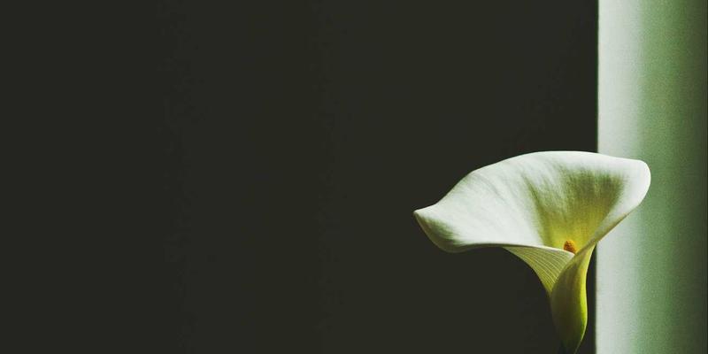 FC3355：解码复古科技浪潮中的网络技术密码