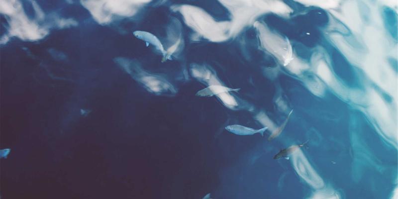 FC3355资源分享：揭秘基于意图的网络(IBN)原理与复古科技下的自动化运维实现路径