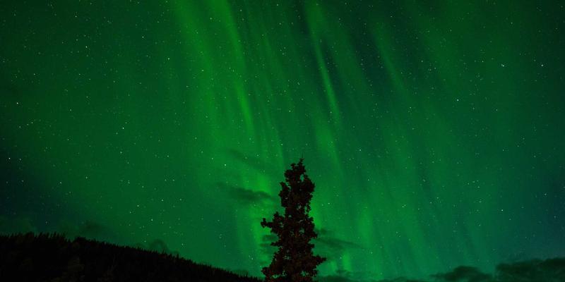 FC3355资源分享：揭秘边缘计算低延迟网络架构设计的五大核心要点