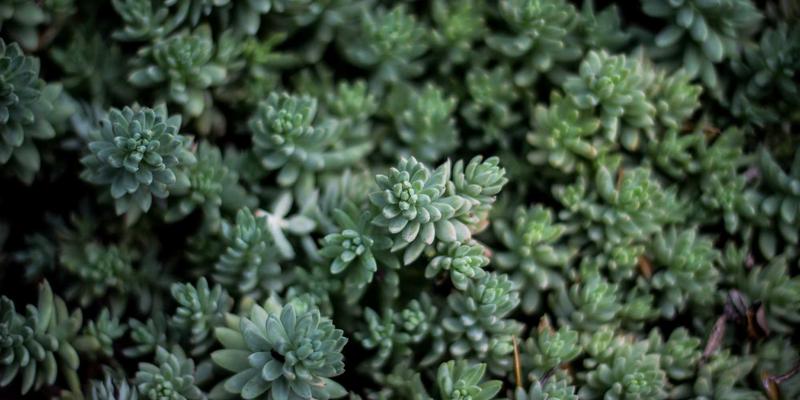 IPv6规模化部署的挑战与过渡技术深度解析：从双栈到隧道，软件开发与网络技术的复古新生