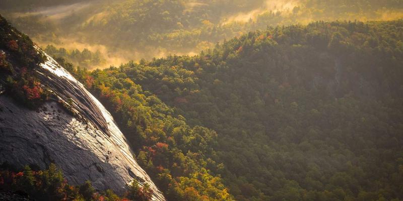 云原生网络核心技术解析：从理论到实践的编程教程与资源分享