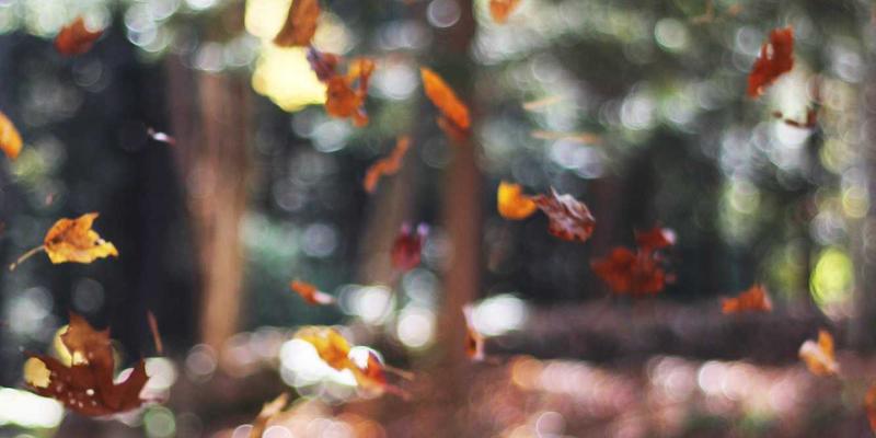 当复古科技FC3355遇见零信任：软件开发中持续身份验证与设备态势感知的深度实践