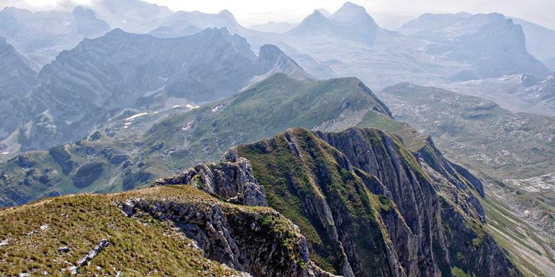 编程教程：用复古科技视角解析MPLS与SD-WAN混合组网方案