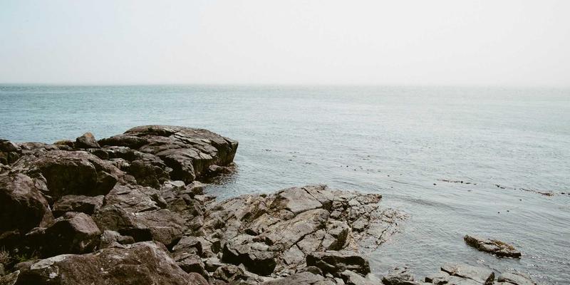 网络技术100：从FC3355到复古科技，解码软件开发的时代回响