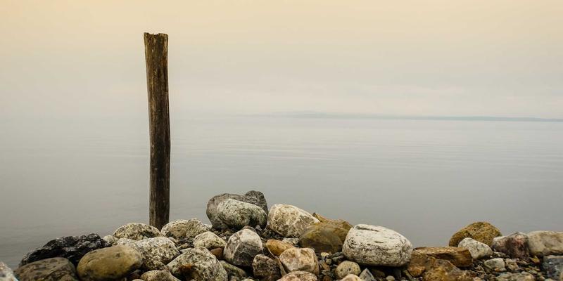 网络技术14：从编程教程到资源分享的完整学习路径