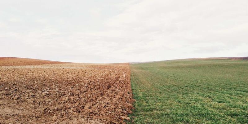 网络技术84：资源分享与编程教程的深度整合指南