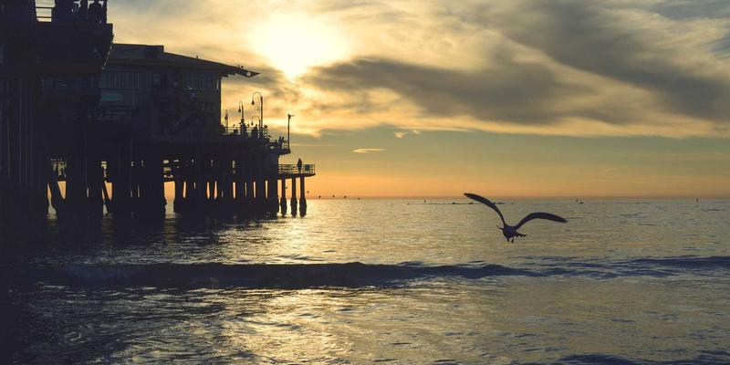 网络技术90：当复古科技遇见现代软件开发与资源分享