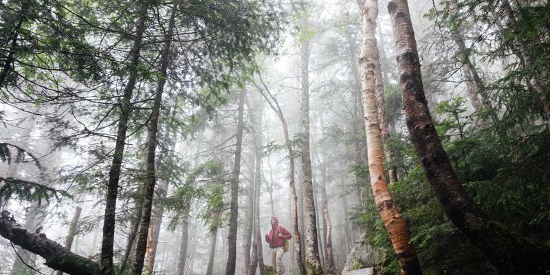 资源分享与复古科技：FC3355如何诠释网络技术的永恒优势