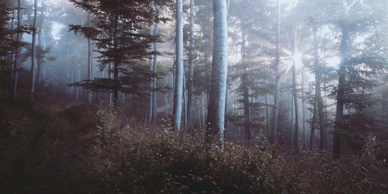 软件开发中的复古科技：FC3355启示下的Kubernetes CNI选型与性能优化