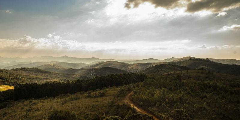 高性能计算网络技术对决：InfiniBand与RoCE深度解析与编程实践